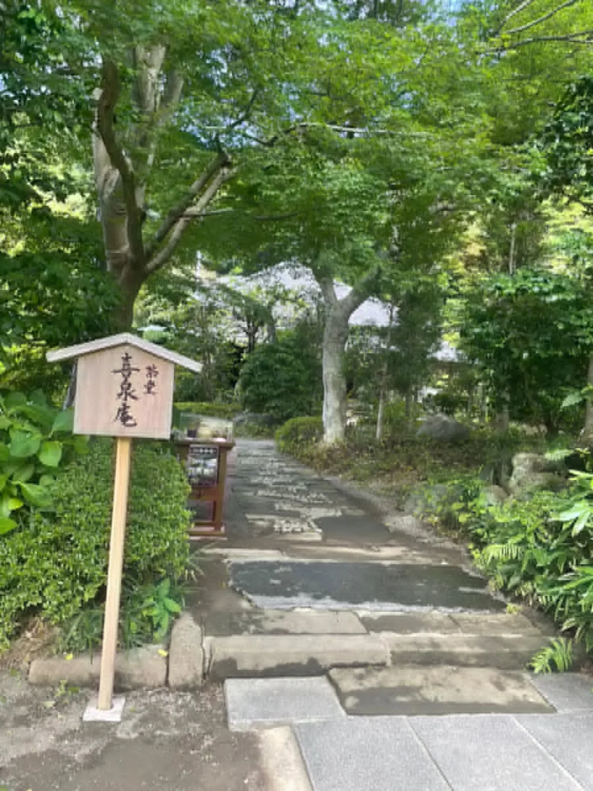 新緑に包まれた茶室への小径